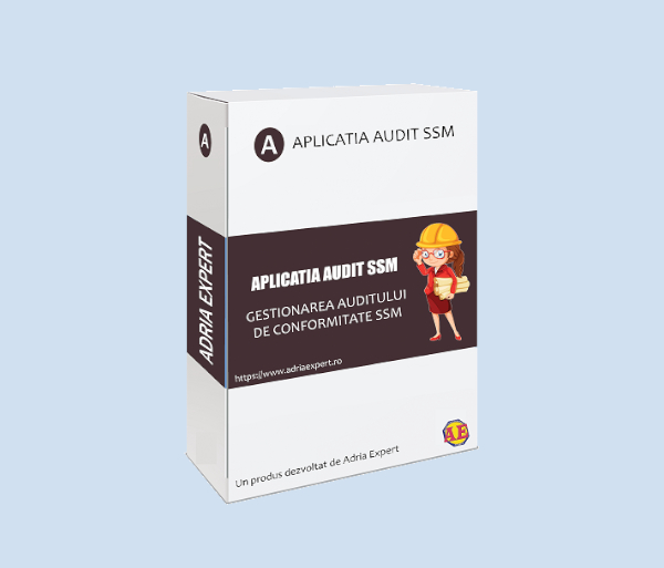 Audit SSM